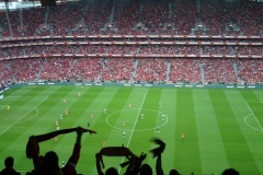 Football match at Benfica stadium