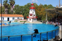 Lisbon\'s Zoo