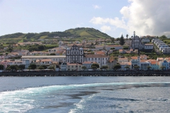 Horta