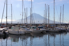 Horta Marina and Pico