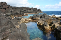 Pico swimming  pools