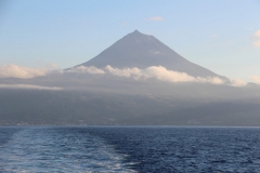 Pico