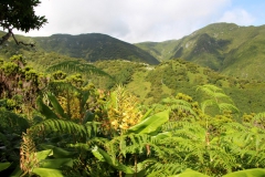 Fajã de Santo Cristo trail