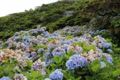 Fajã de Santo Cristo trail
