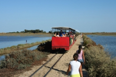 Praia do Barril train