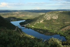 Rio Tejo