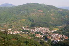 Avô