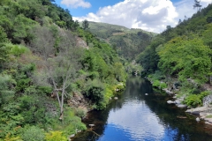 Rio Paiva boardwalk