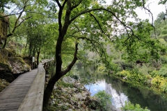 Rio Paiva boardwalk