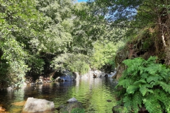 Rio Bestança