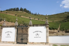 Port wine farm