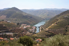 Pinhão