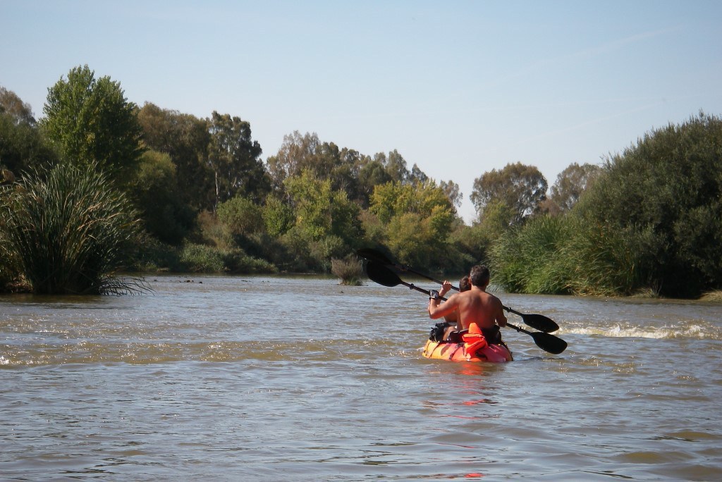 Paddle in Guadiana river