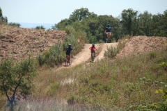 \"Rota Vicentina\" in Alentejo