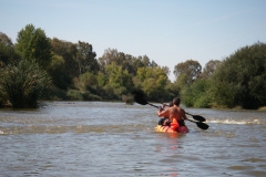 Paddle in Guadiana river