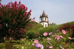 Mateus Palace