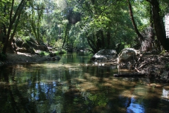 pinhalinterior_01