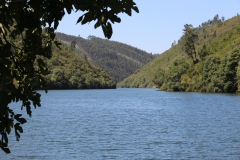 pinhalinterior_09