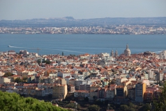 Monsanto lookout
