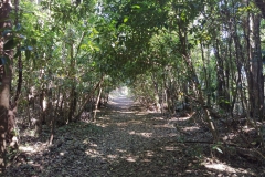 sintra_hike04