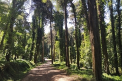 sintra_hike05